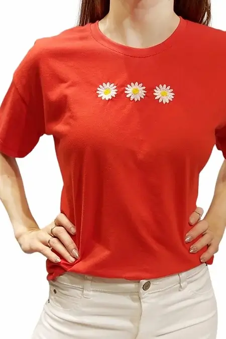 DELBIEN - Remera Crash